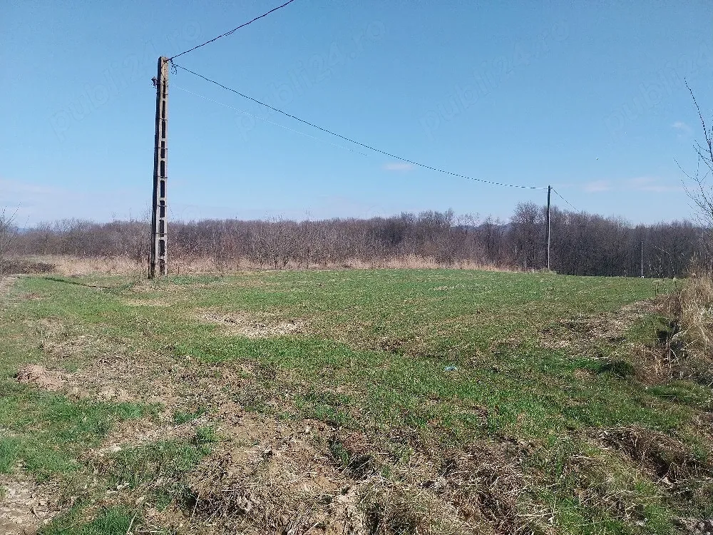 Terenuri de vânzare  intravilan și extravilan