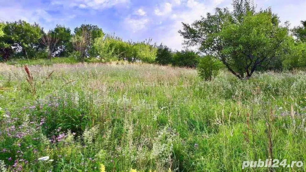 Morilor Teren constructii intravilan 3600mp