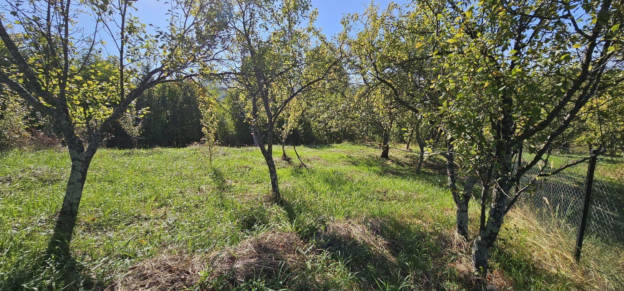 Teren de vanzare In Berislavesti - Calimanesti 4000mp - imagine 1