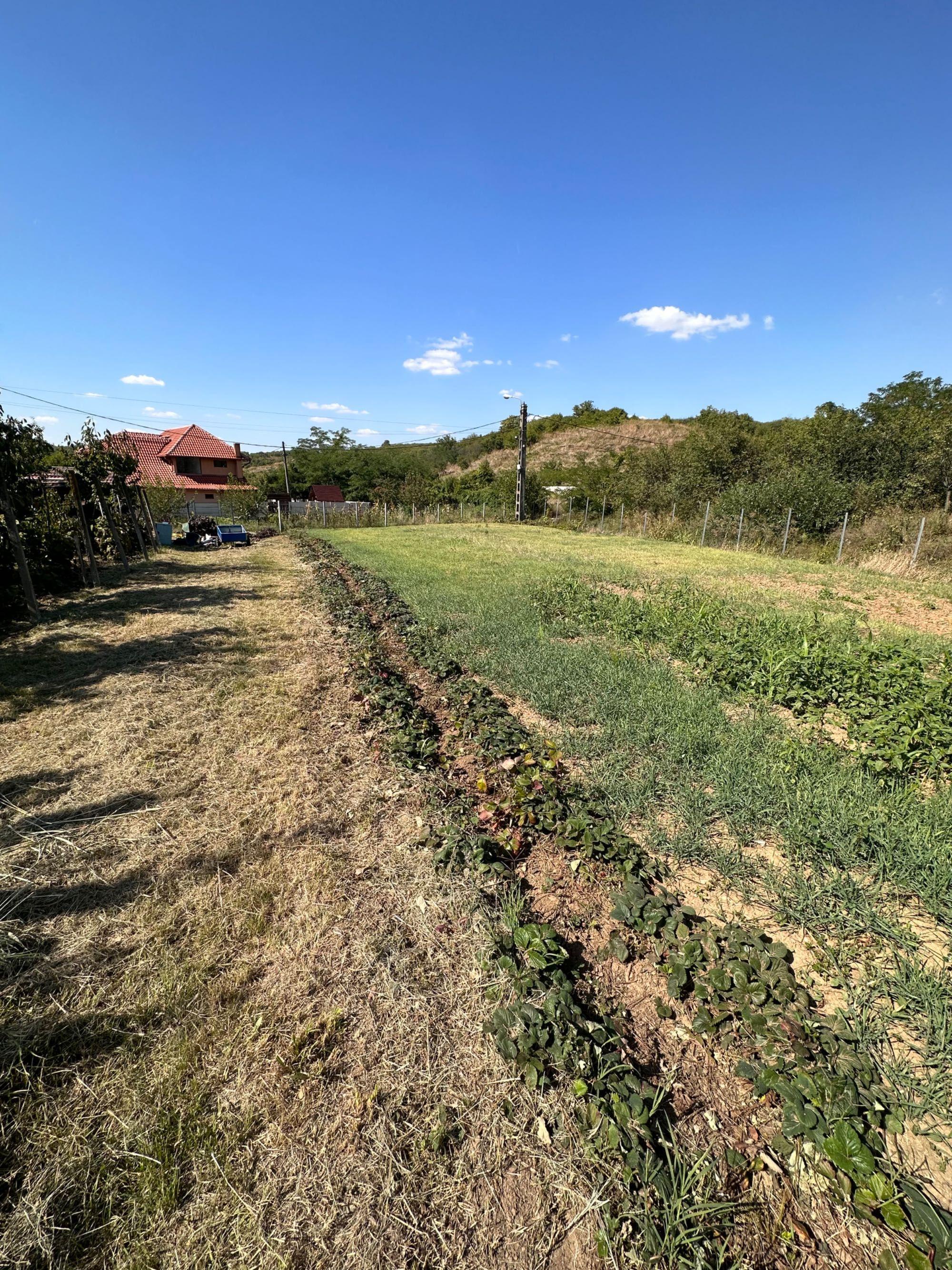 Teren Zona Oncea/Paleu Oradea