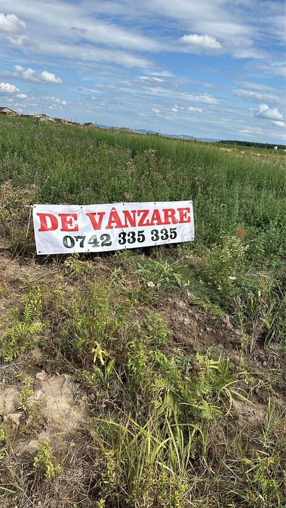 Teren centura Osorhei