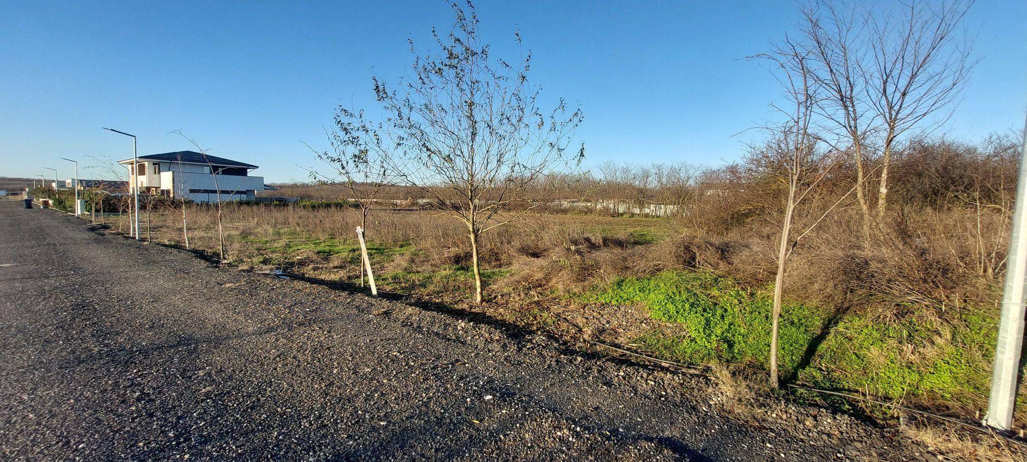 Teren de vânzare Dragomirești Deal