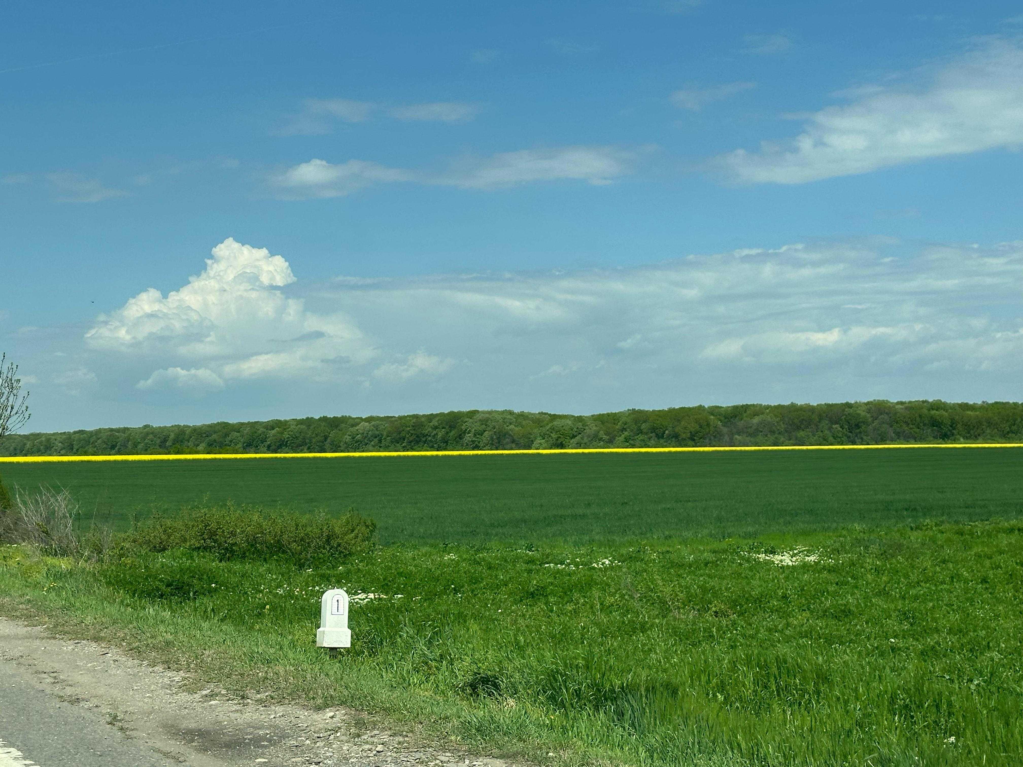 Teren intravilan mixt de vanzare/inchiriere DN1 Ciolpani Ilfov - imagine 1