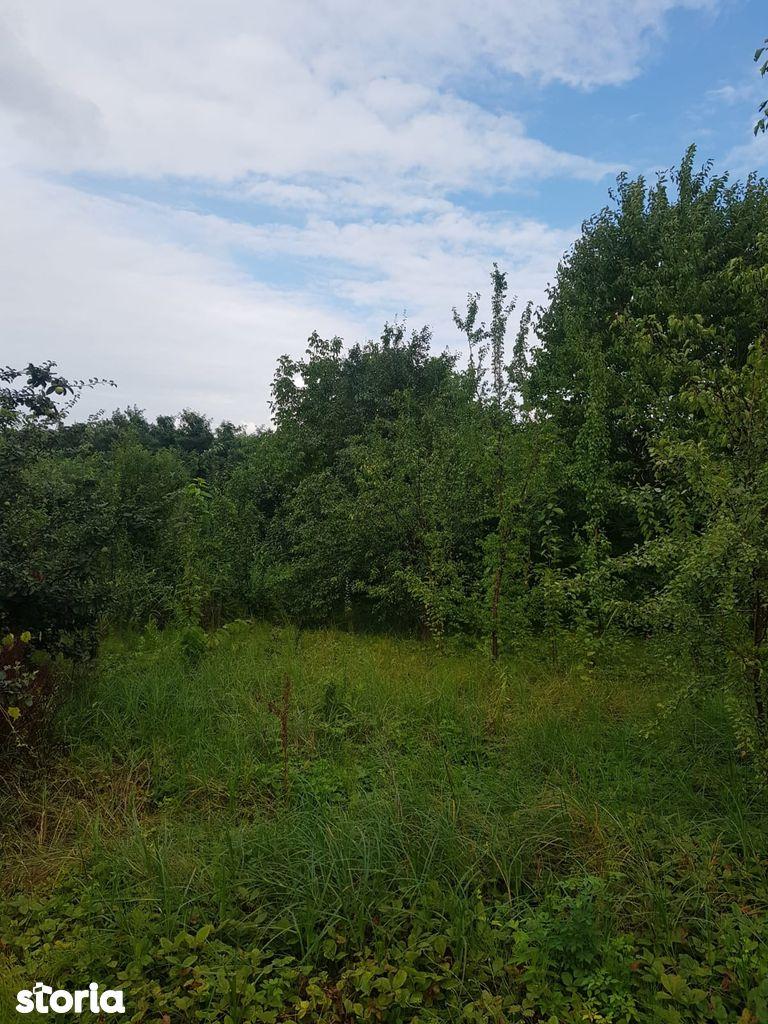 Teren de vânzare în Bucium, 1000mp, acces asfaltat