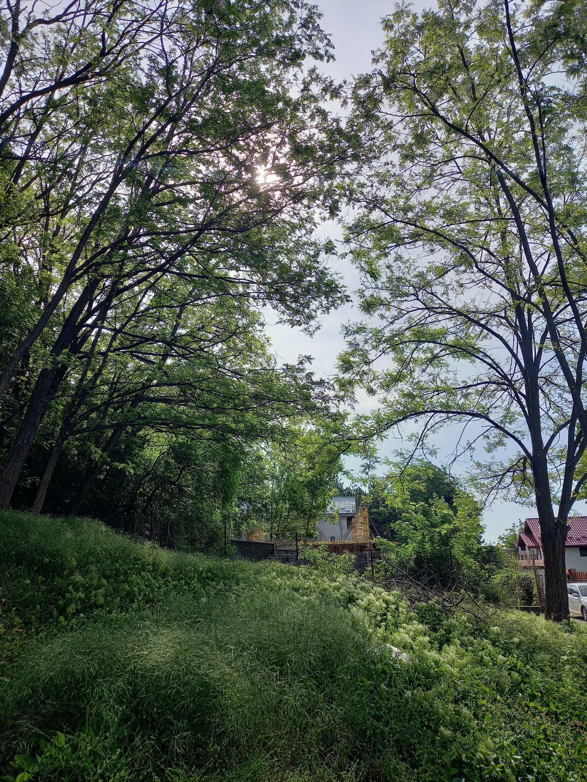 Teren cu PUZ aprobat, Iasi Copou, strada Bucur, zona Bellevue