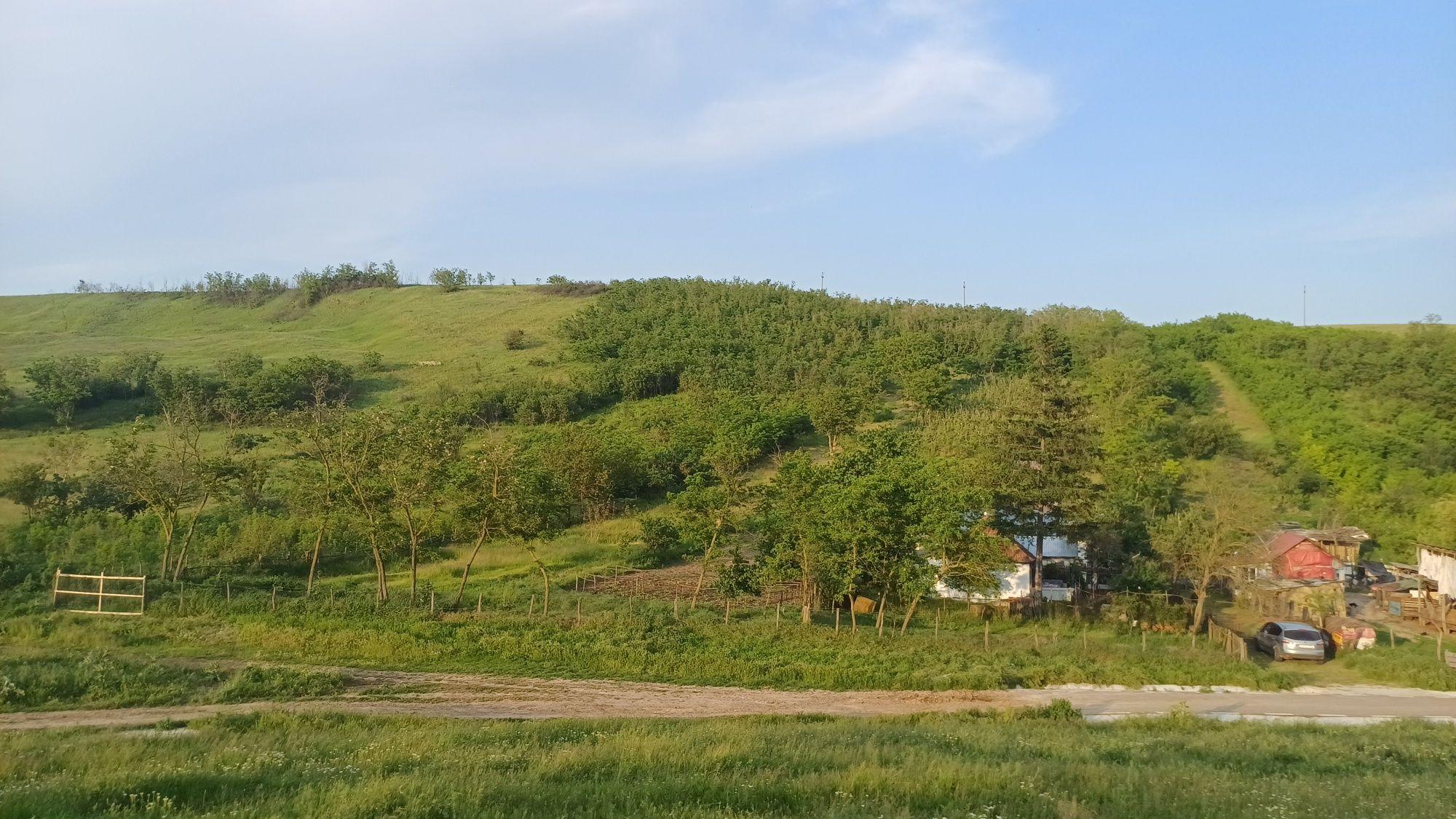 Casa cu teren 1 hectar în sat Roșcani, la 40 km de Iași. - imagine 1