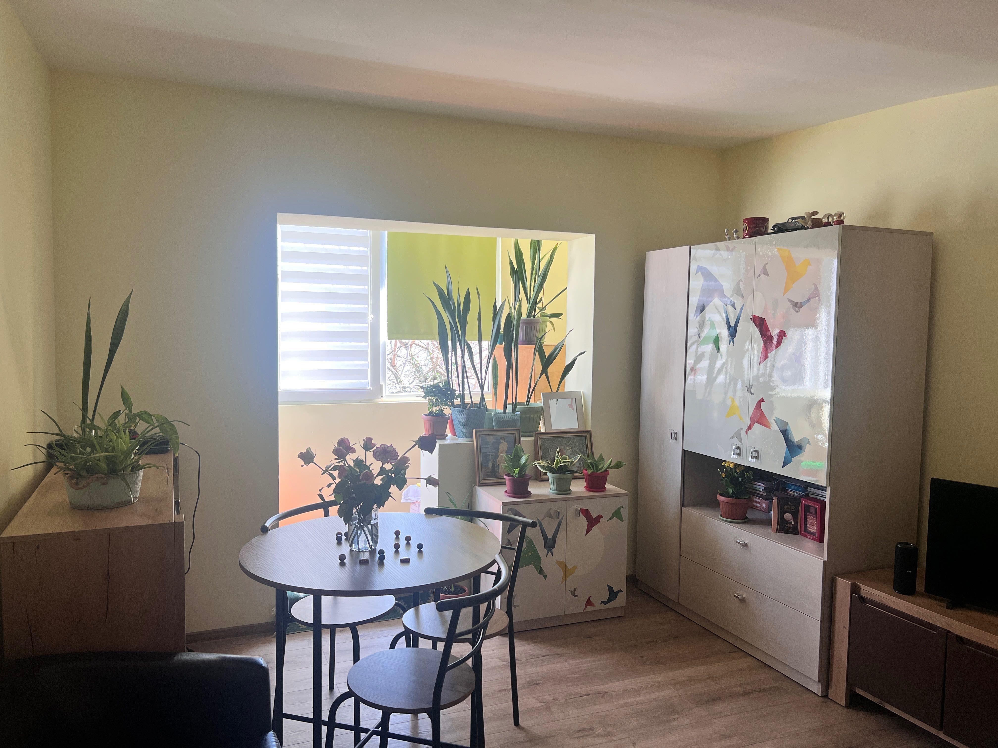 Apartament cu o camera, direct de la proprietar, Zona Freidorf