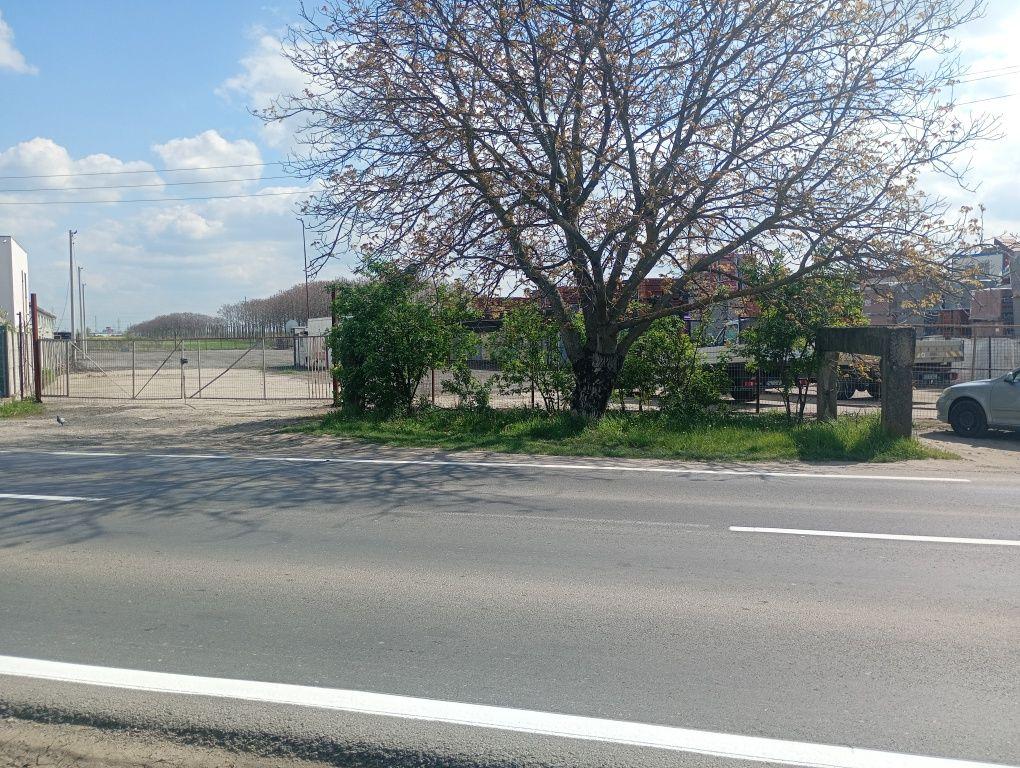 Închiriez teren in Timișoara Freidorf între firme pentru depozitare,pa - imagine 1
