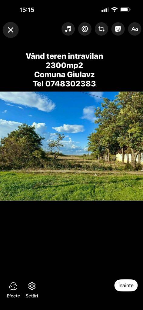 Vând teren intravilan 2300mp2 în comuna  giulvaz jud timis nr 399