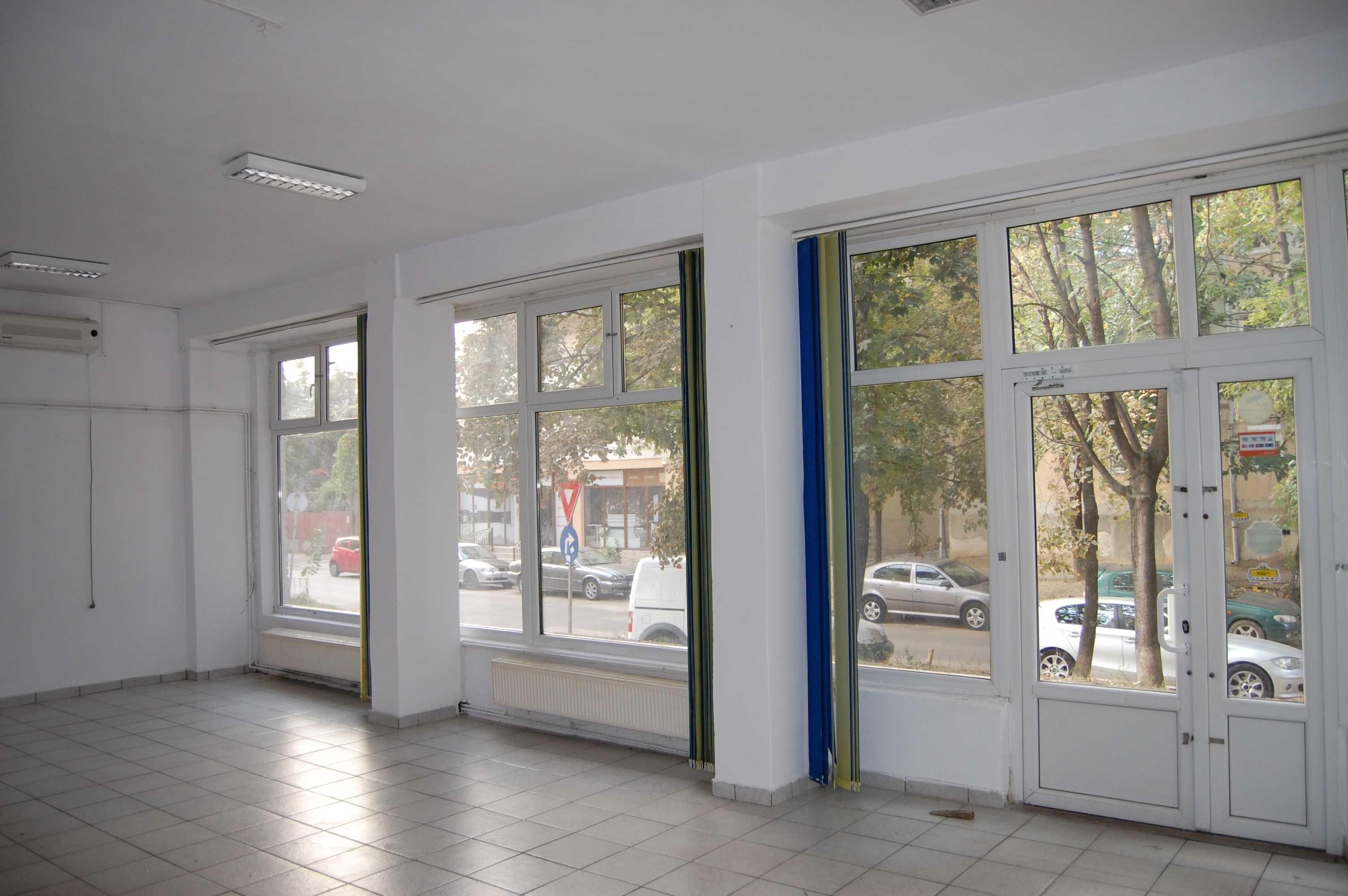 Spatiu comercial Dimbovita - 100 m2 - imagine 1