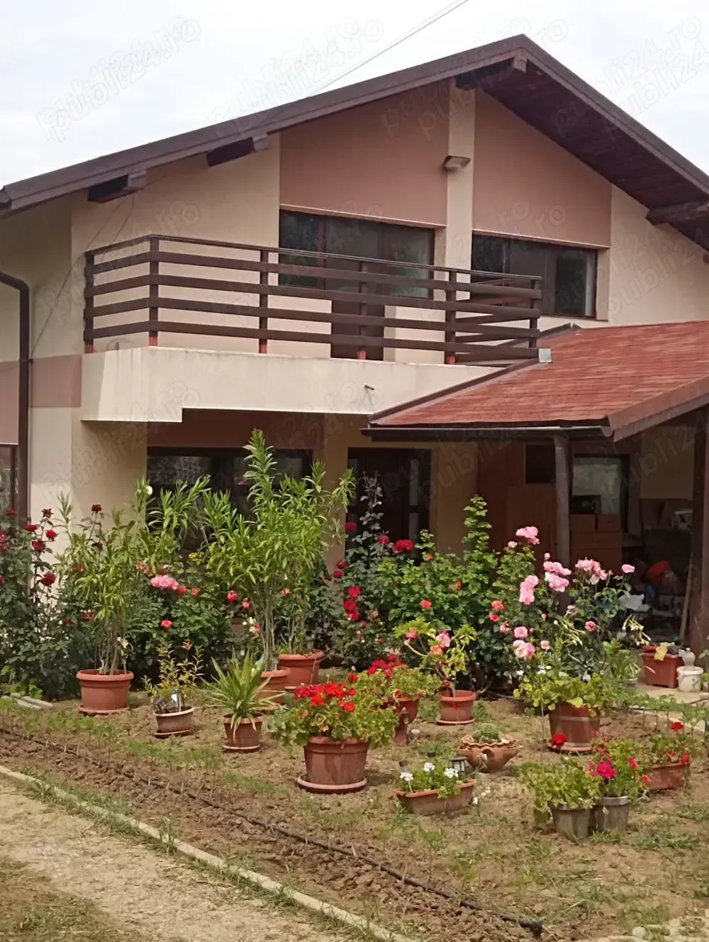 Casa de inchiriat Zona Bucium (Plopii fara sot) - imagine 1