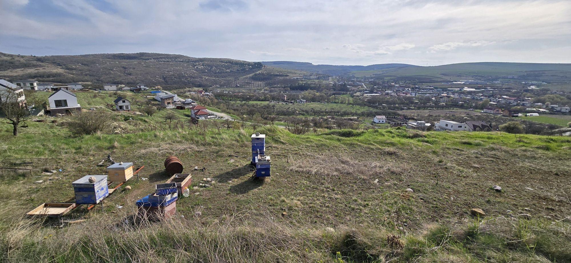 Oportunitate: Teren intravilan cu acces la asfalt. Baciu, SunGarden