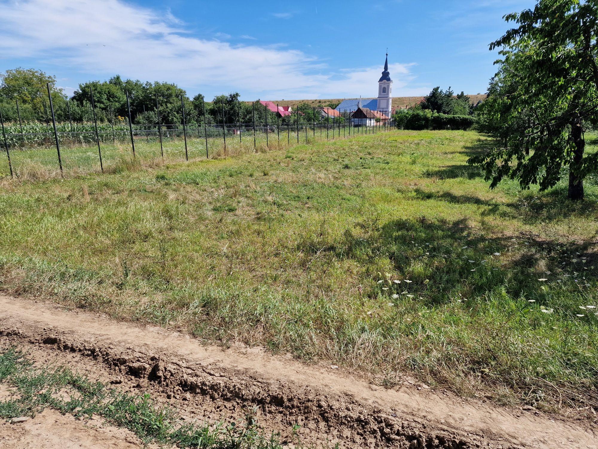 Teren intravilan de vânzare Uileacu de criș