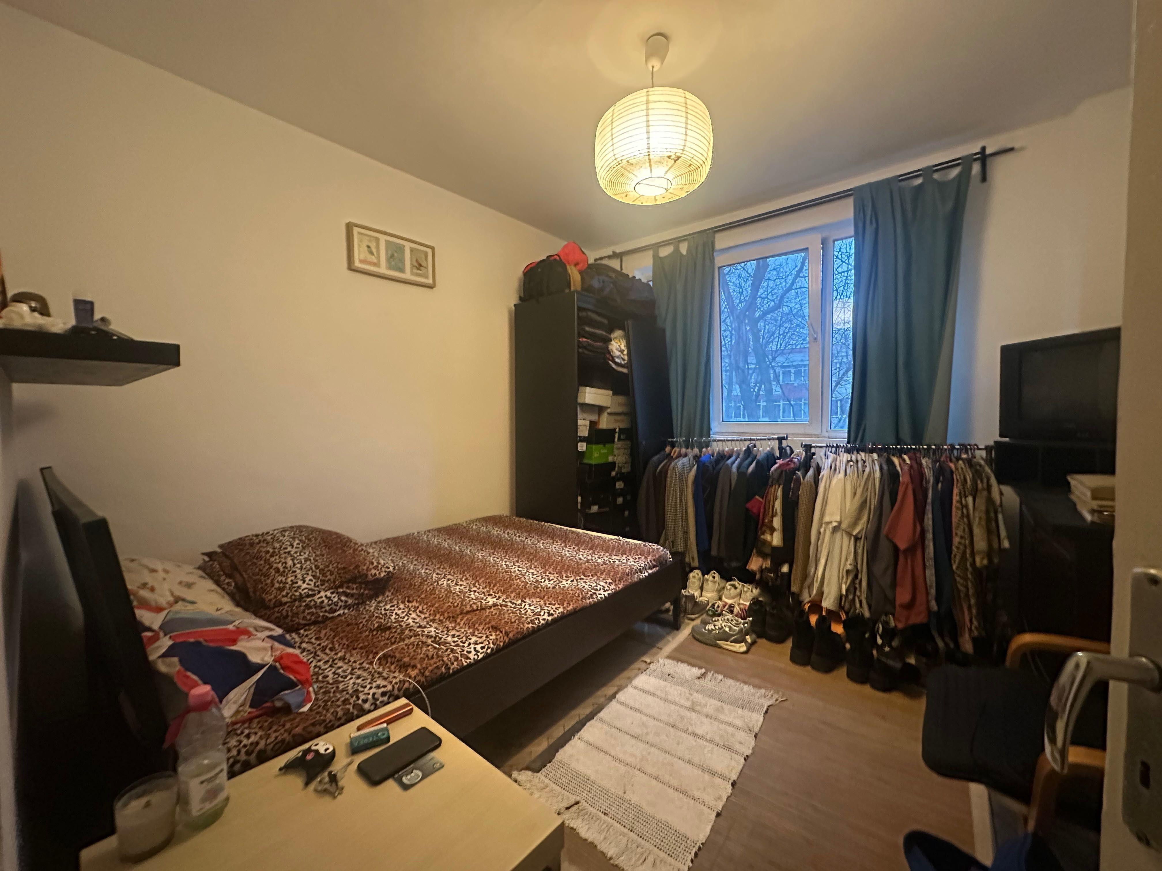 Pajura lângă Policlinică