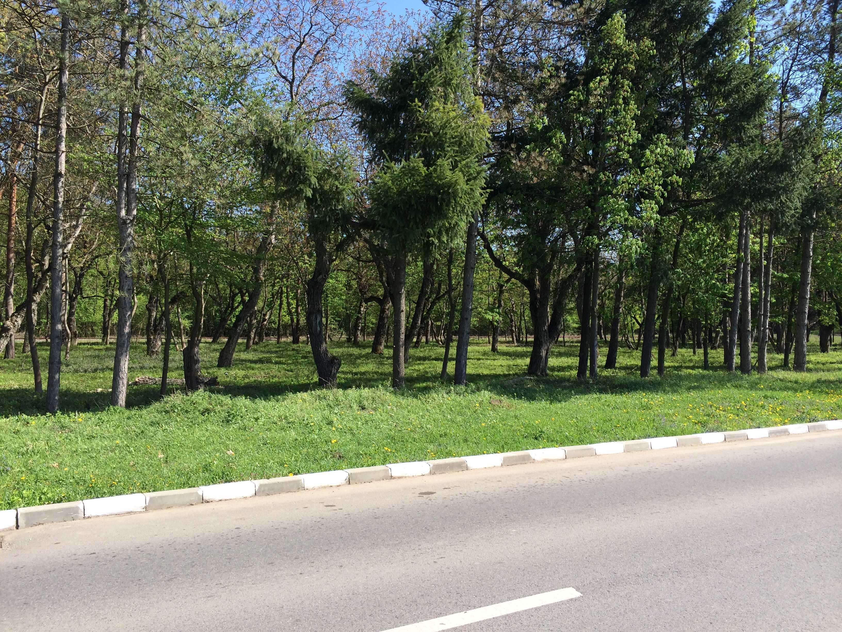 Vand teren 7.000 mp Snagov Sat (Soseaua Snagov) - imagine 1