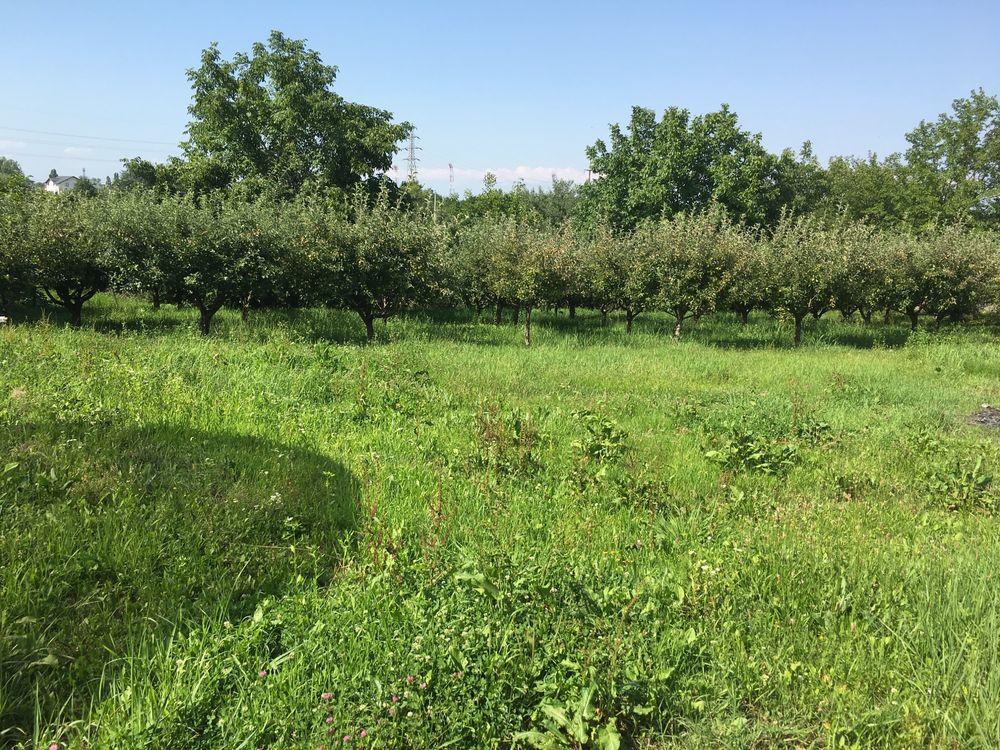 Vind teren in Turcești ,Pitesti - imagine 1