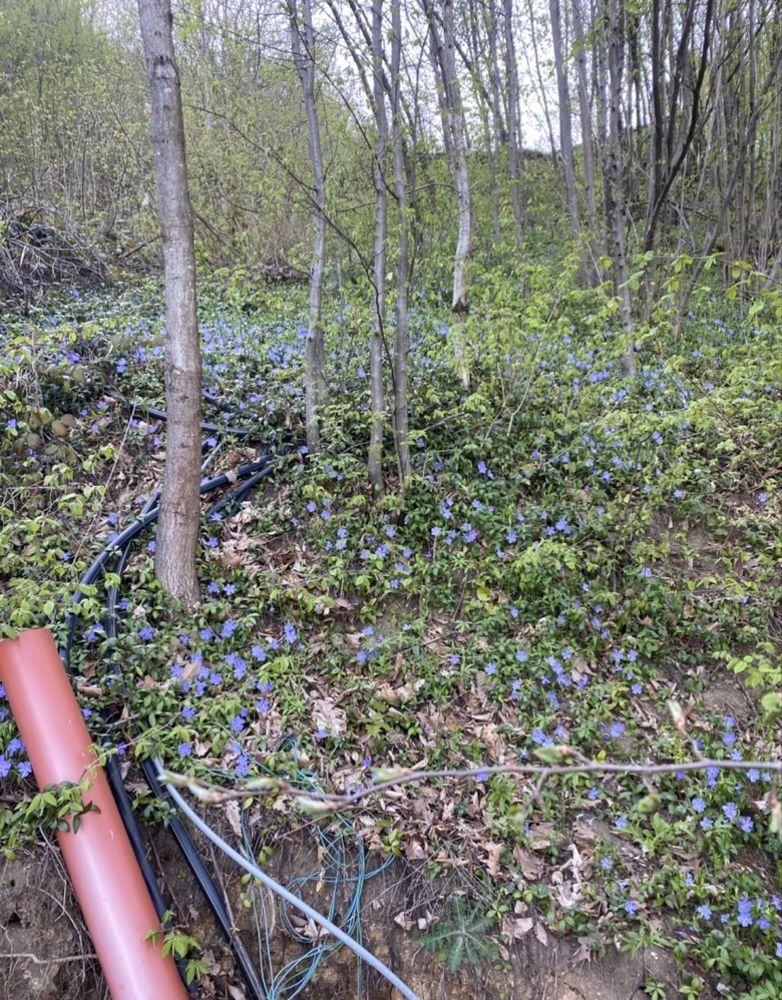 Teren Valea Rosie - imagine 1