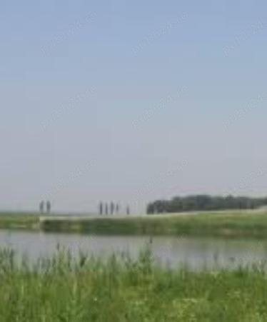 - vânzare 450 m sau 120 teren intravilan +construcții Mogoșoaia linia de centură