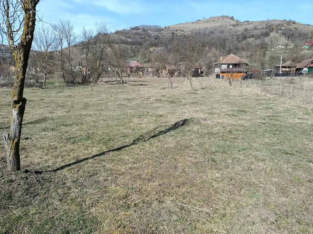 Vind teren intravilan