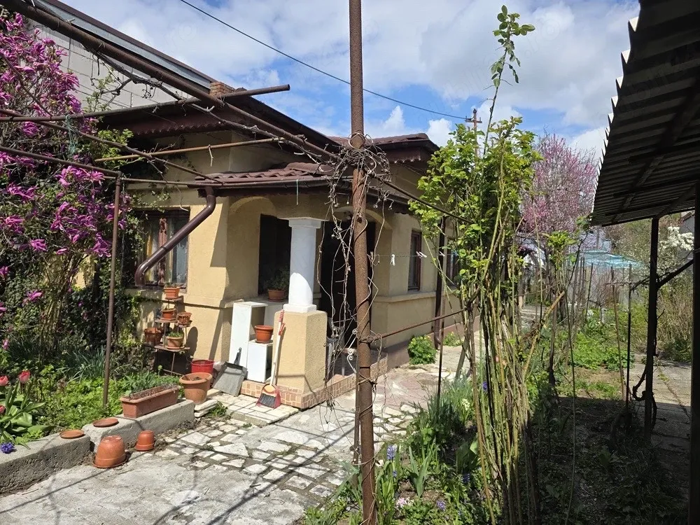 Vand casa la curte