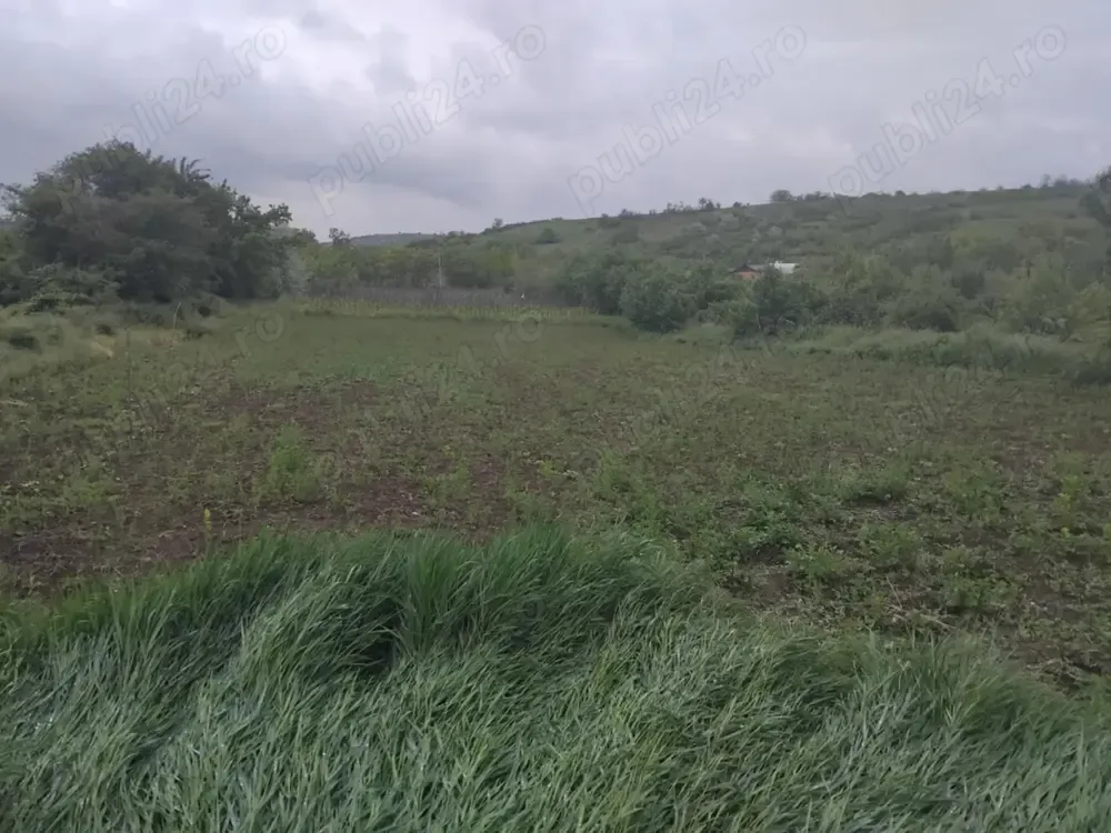 Teren de vânzare intravilant 25euro negociabil