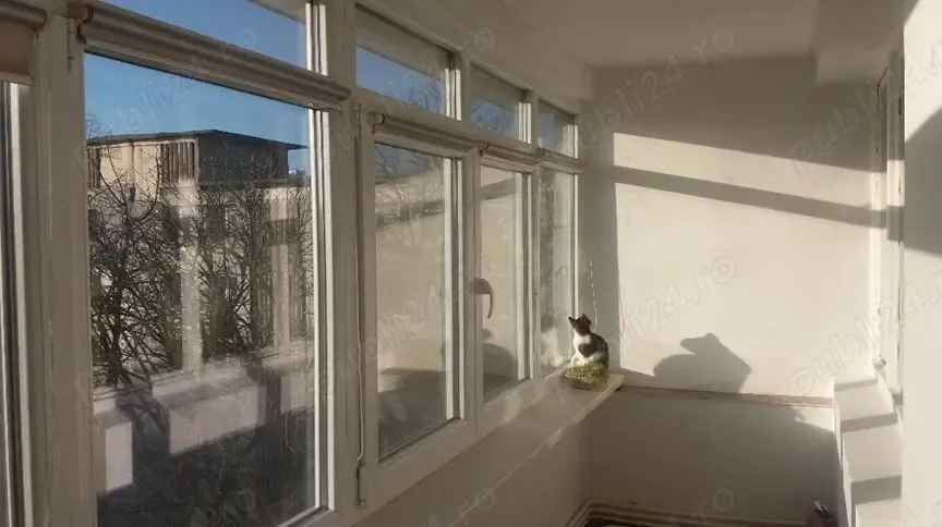 Vand apartament 2 camere - ultracentral