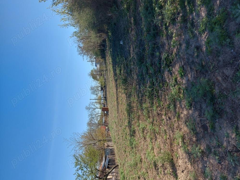 Teren intravilan Ijdileni Galați