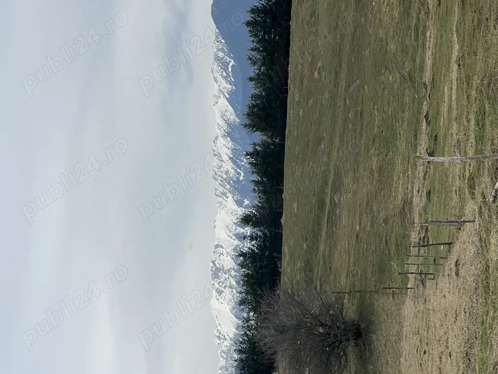 Vând teren zona Bran