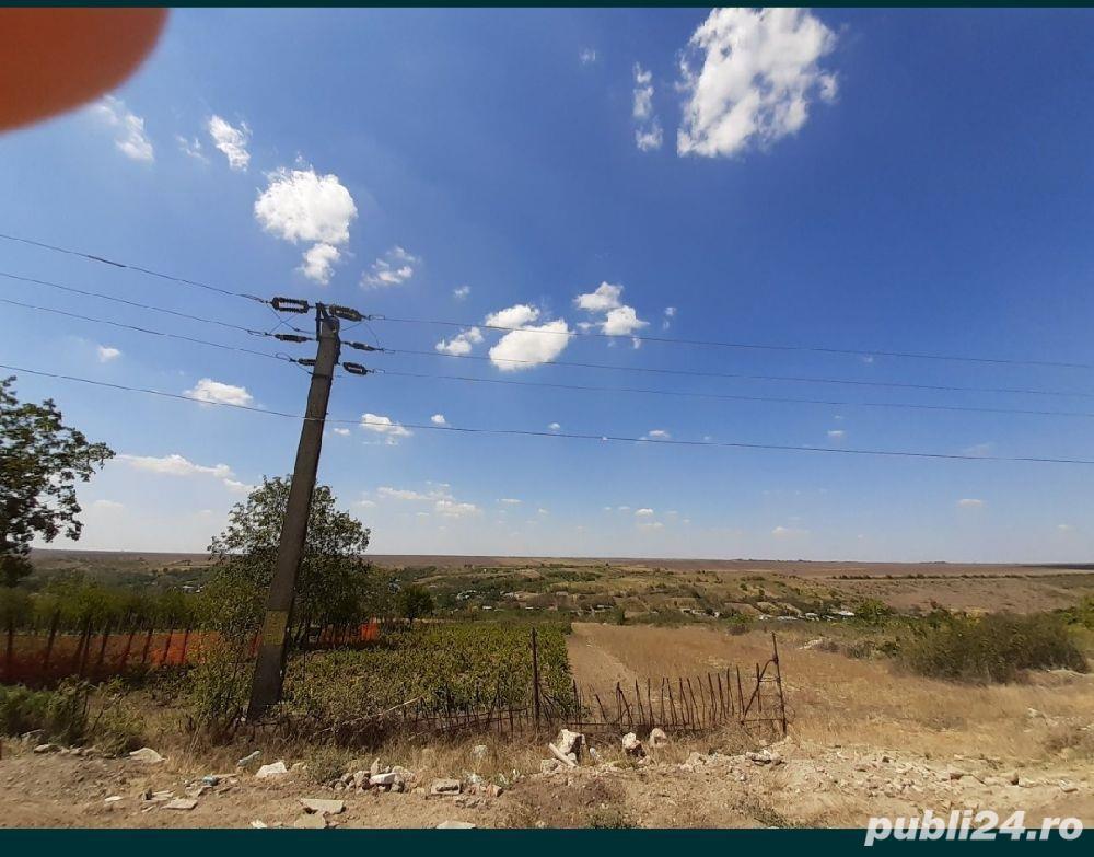 Teren Extravilan  Odaia Manolache 4000 m