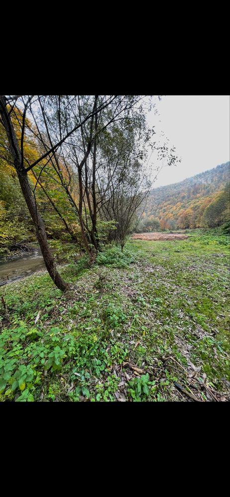 De vanzare Teren tanita 2150 mp