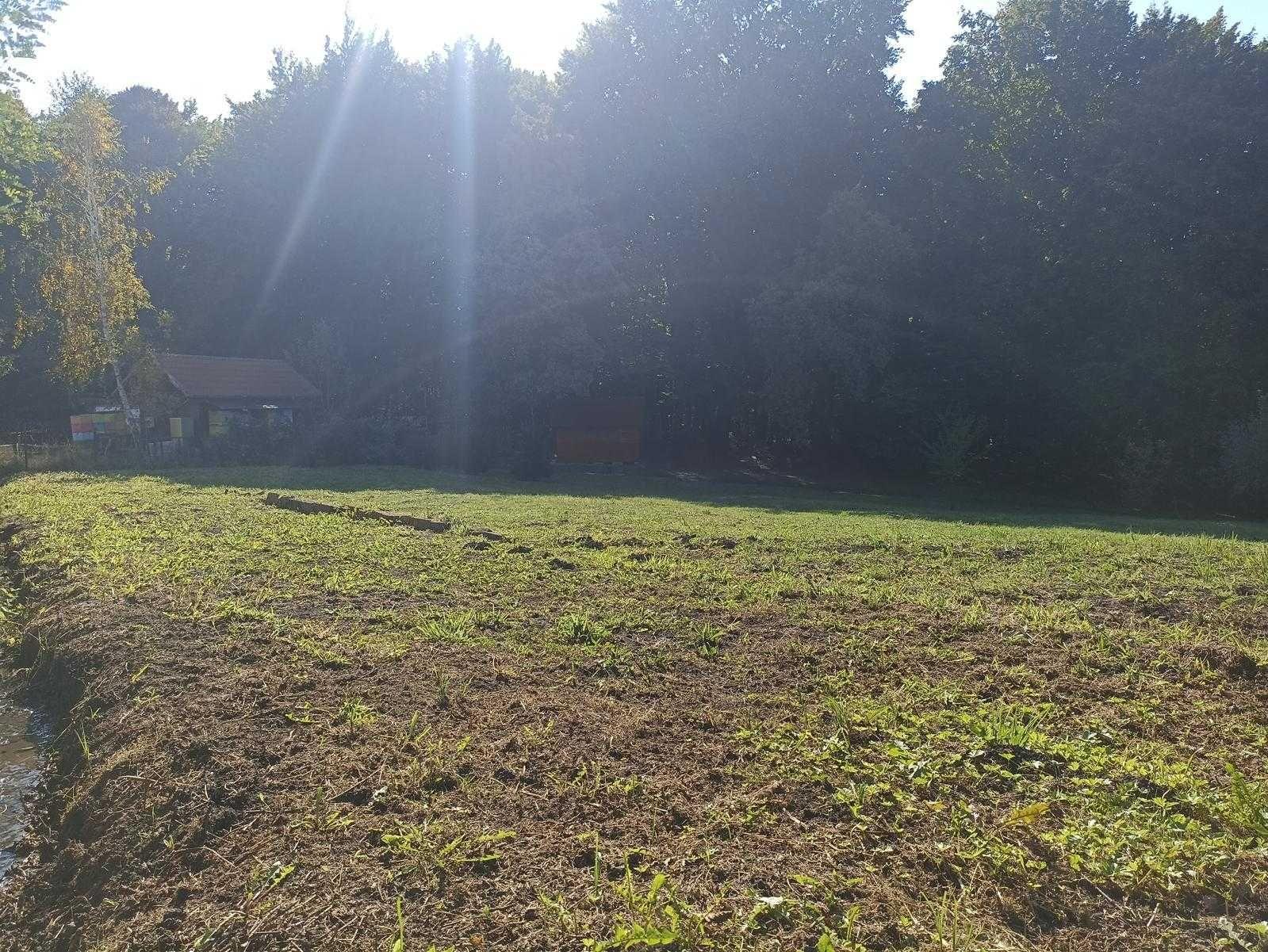 Teren intravilan de vanzare in Faget ULid 1876 mp