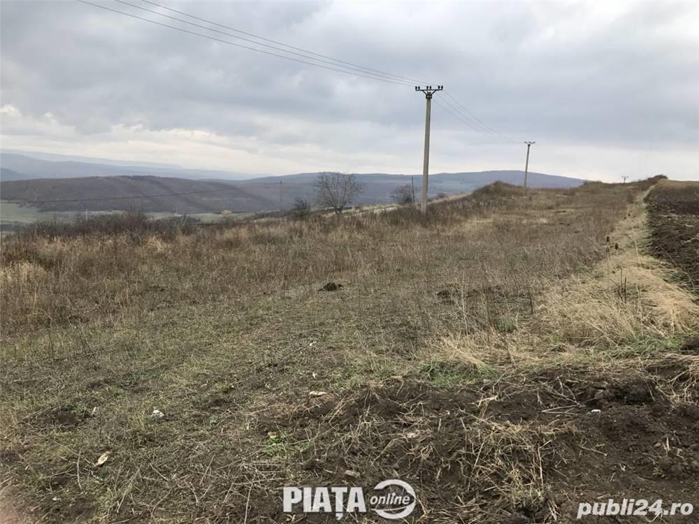 Teren extravilan