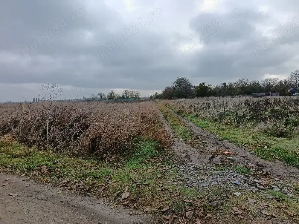 Teren intravilan Brăila. 3330 mp.