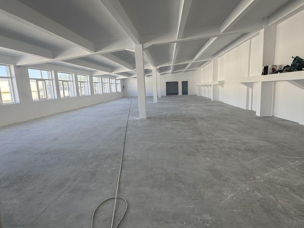 Hale de inchiriat , Taietura Turcului - imagine 1