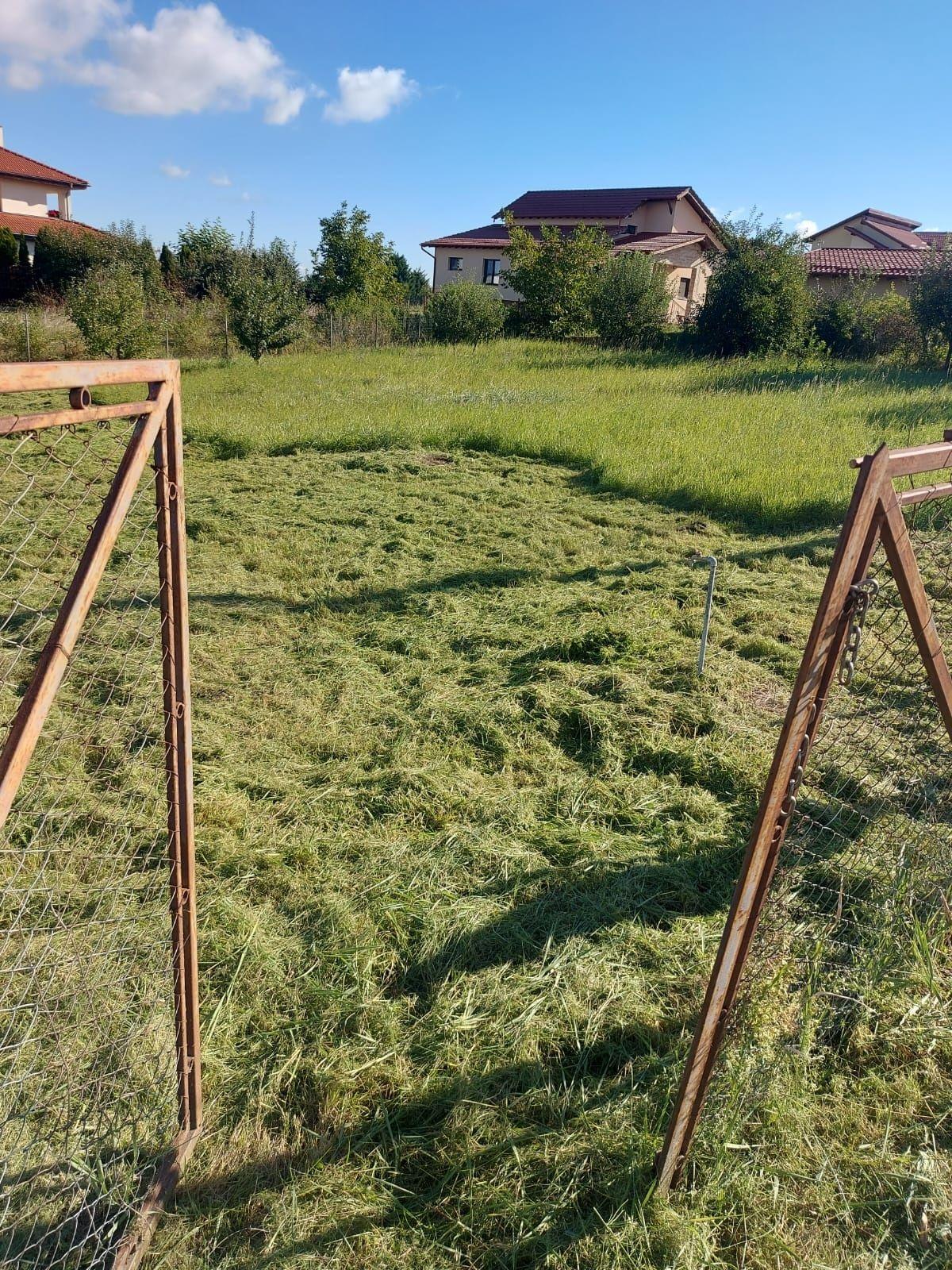 Teren Mihai Românul 1000mp