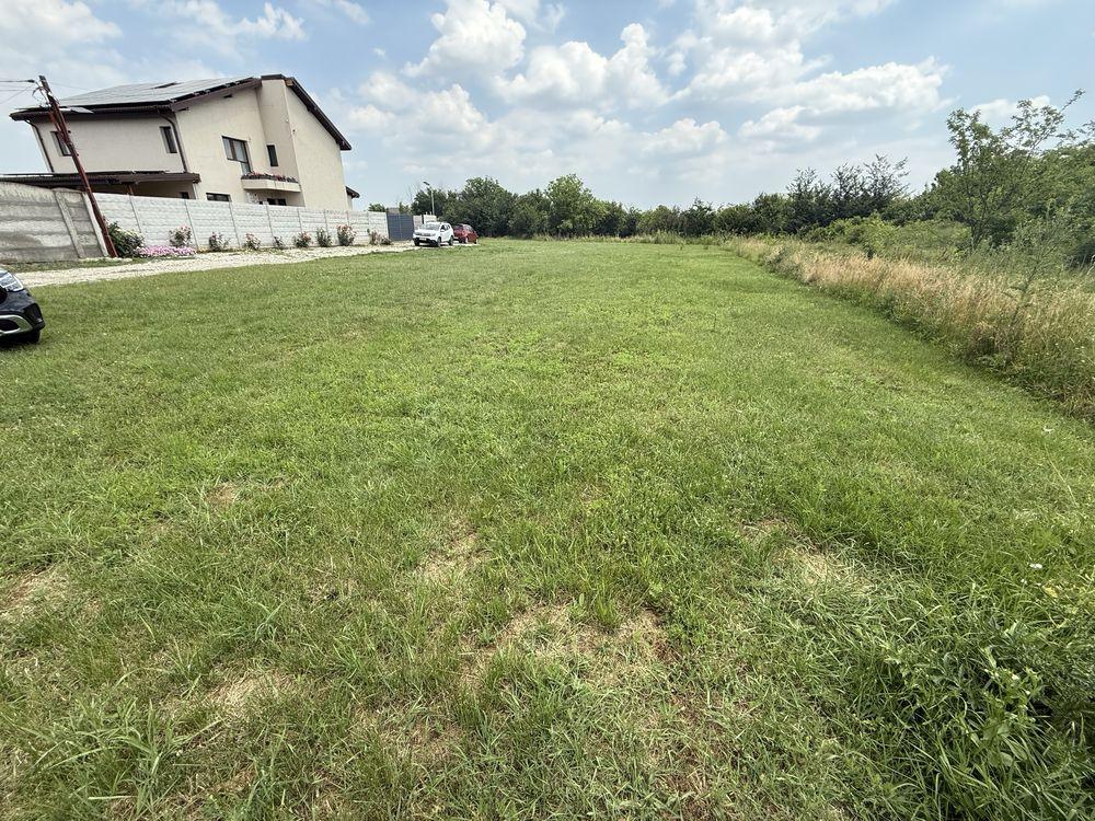 Teren Intravilan Domnesti 546 mp - Alexandru Ioan Cuza