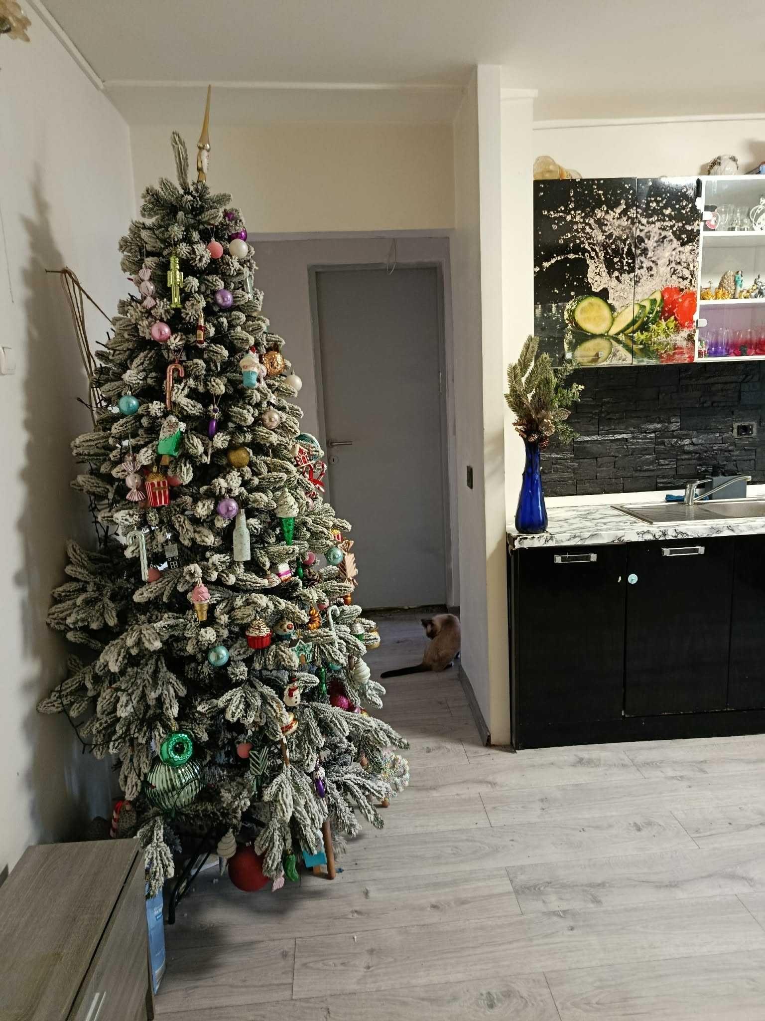 Schimb apartament 2 camere cu casă – zona Melodiei, Baia Mare - imagine 1