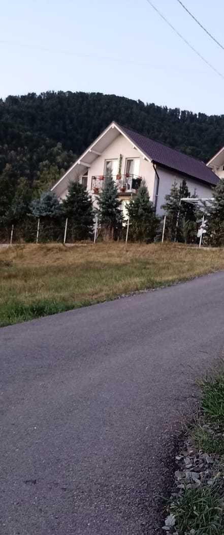 Vila P+M cu 10 ari teren Valea Borcutului (zona Teren Fotbal) - imagine 1