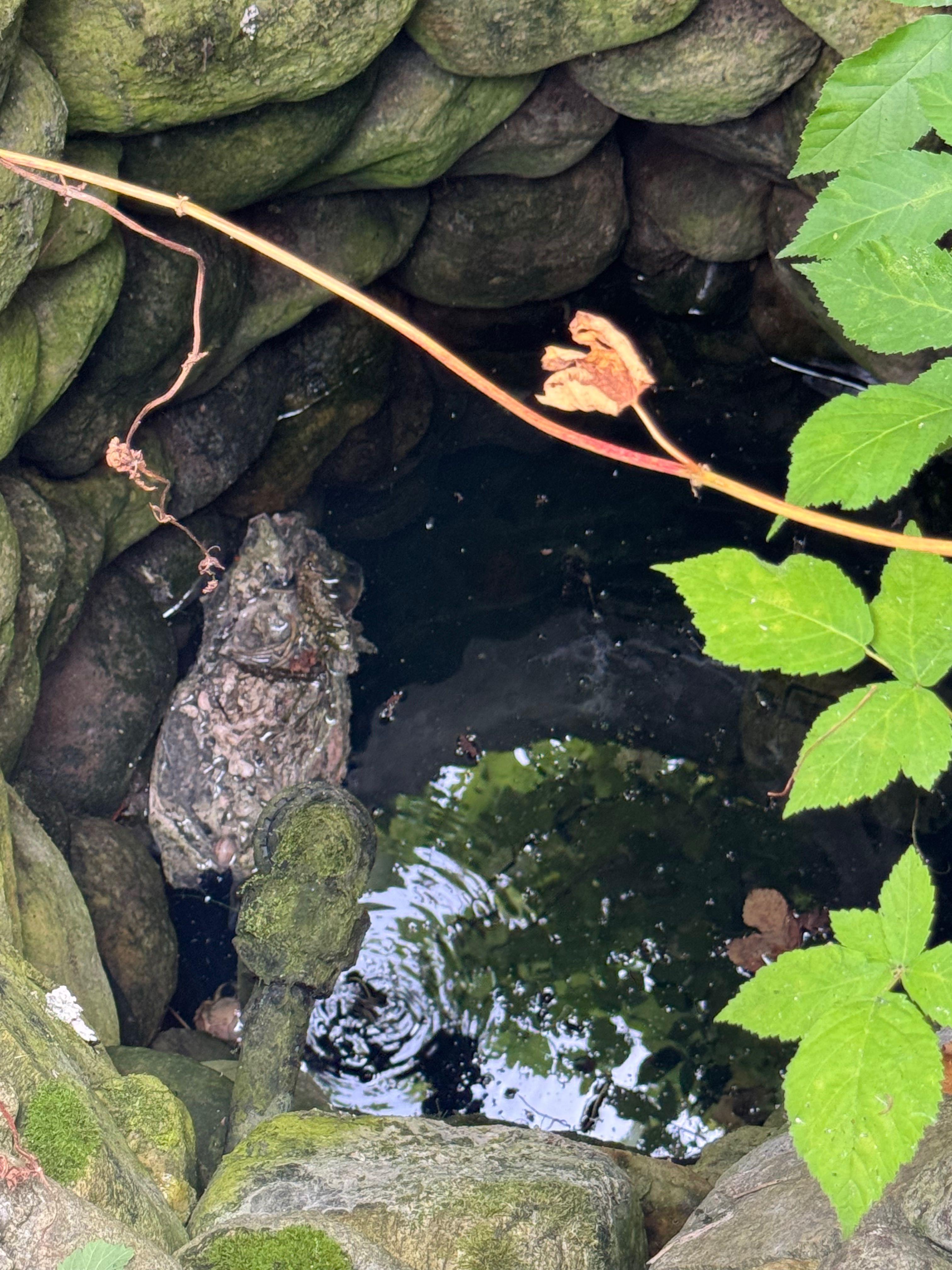 Teren intravilan Vladesti Priporu - imagine 1