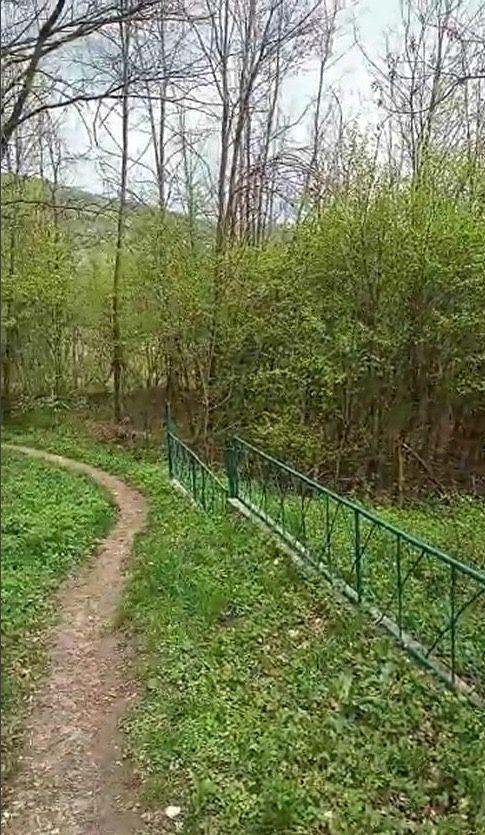 Teren la Râu și Pădure – Ideal Cabană, Liniște Totală - imagine 1