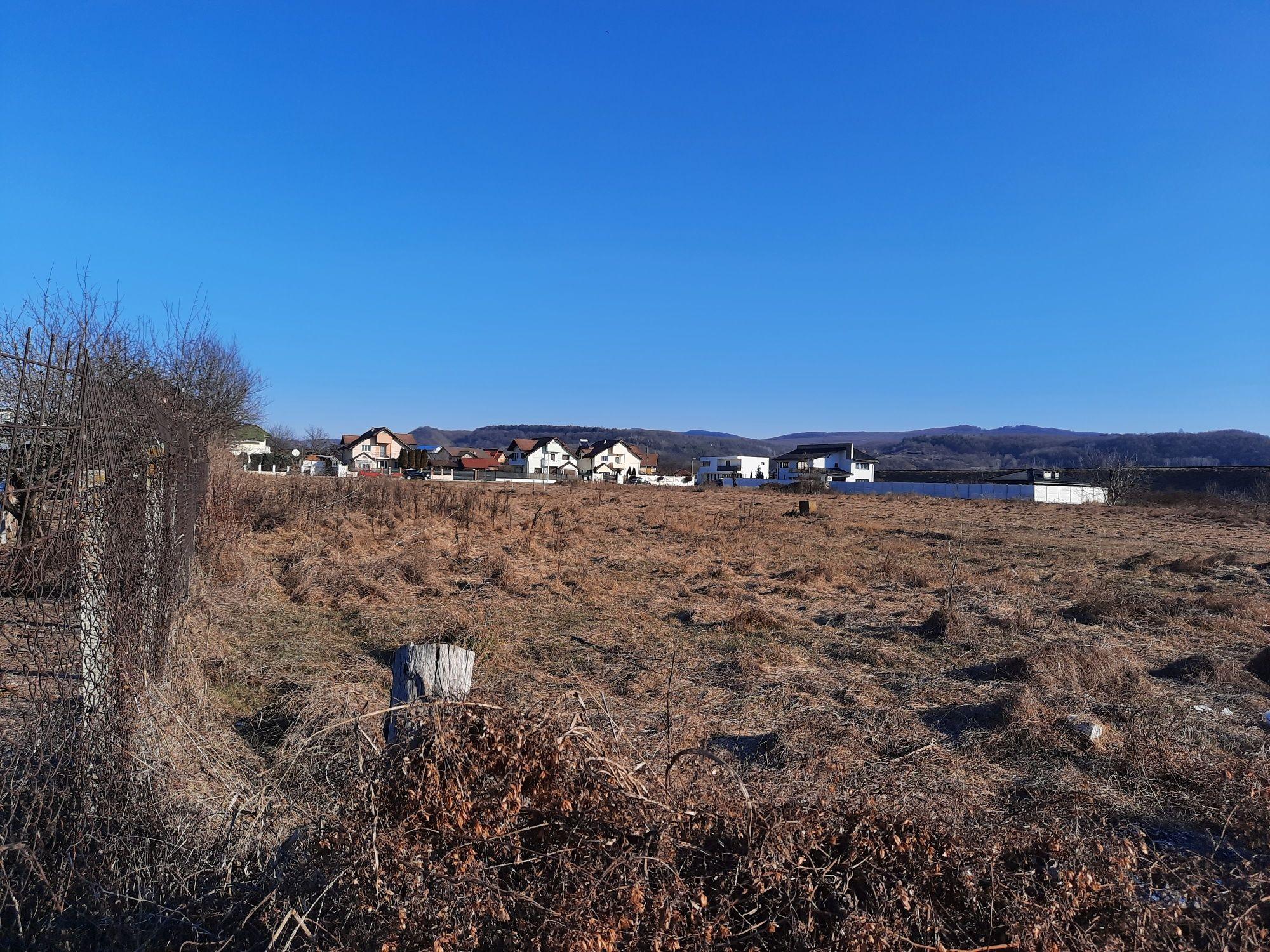 Vand teren in Rm. Valcea, zona Ostroveni Sat, 2988mp - imagine 1