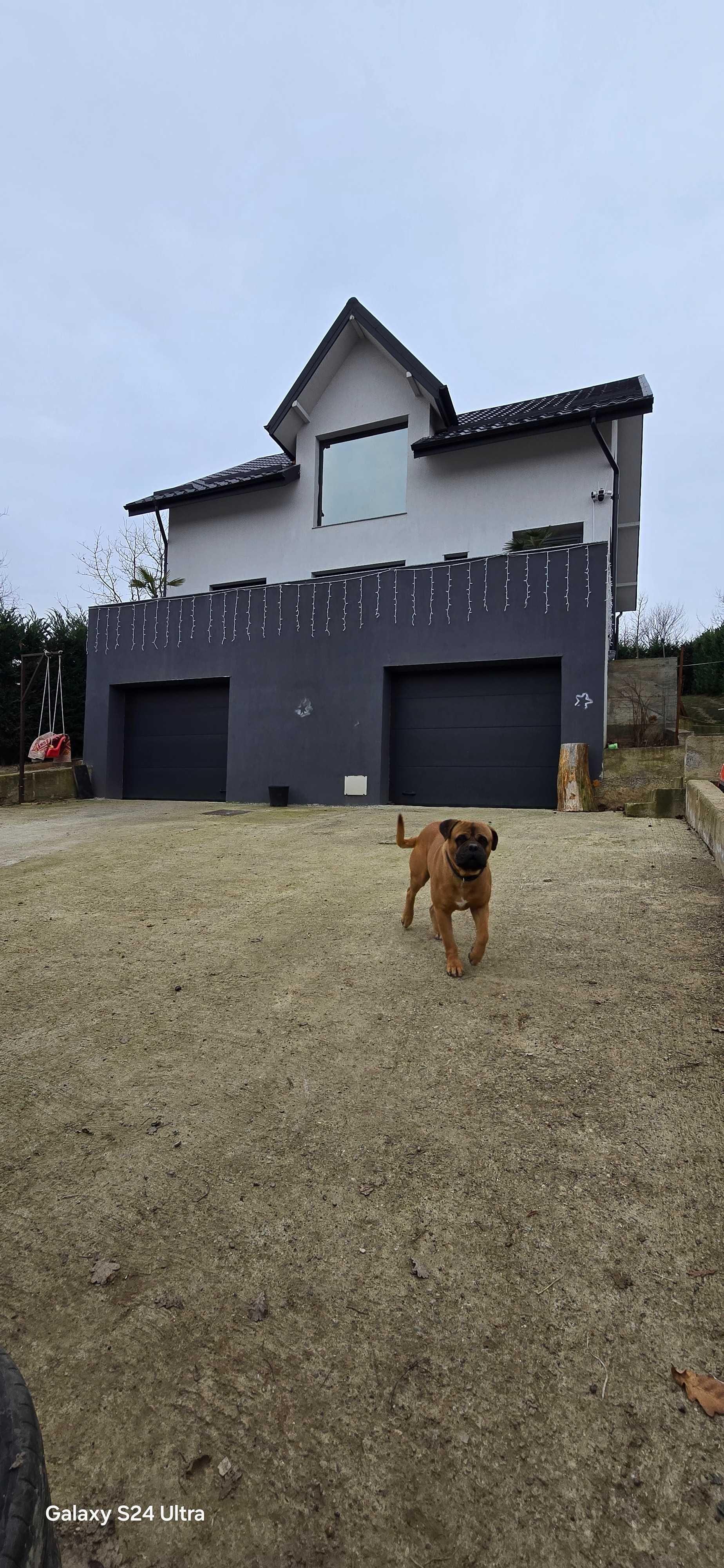 Vila D P M sos barnova - imagine 1