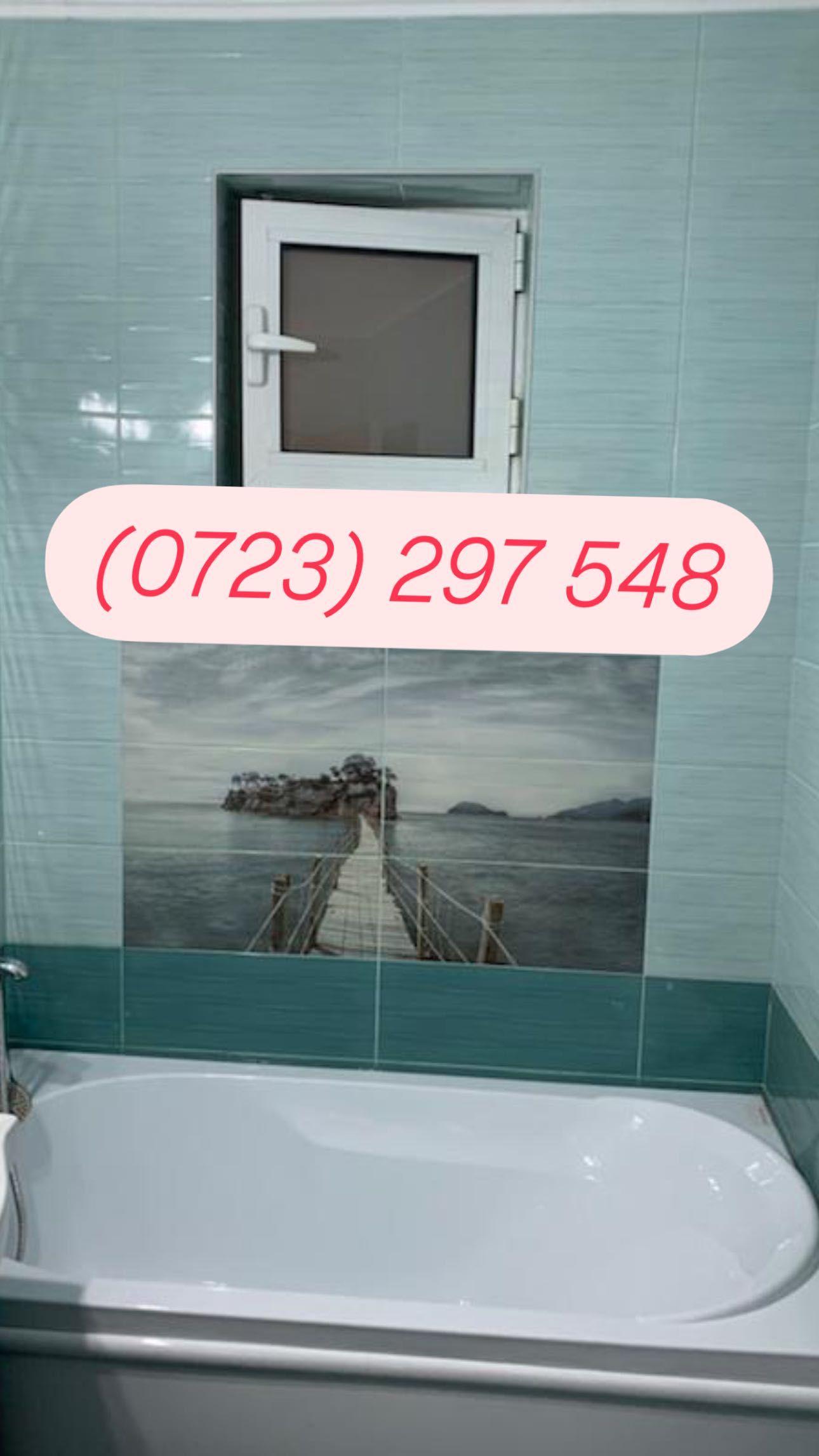 Inchiriez Apartament Sinicolau Mic