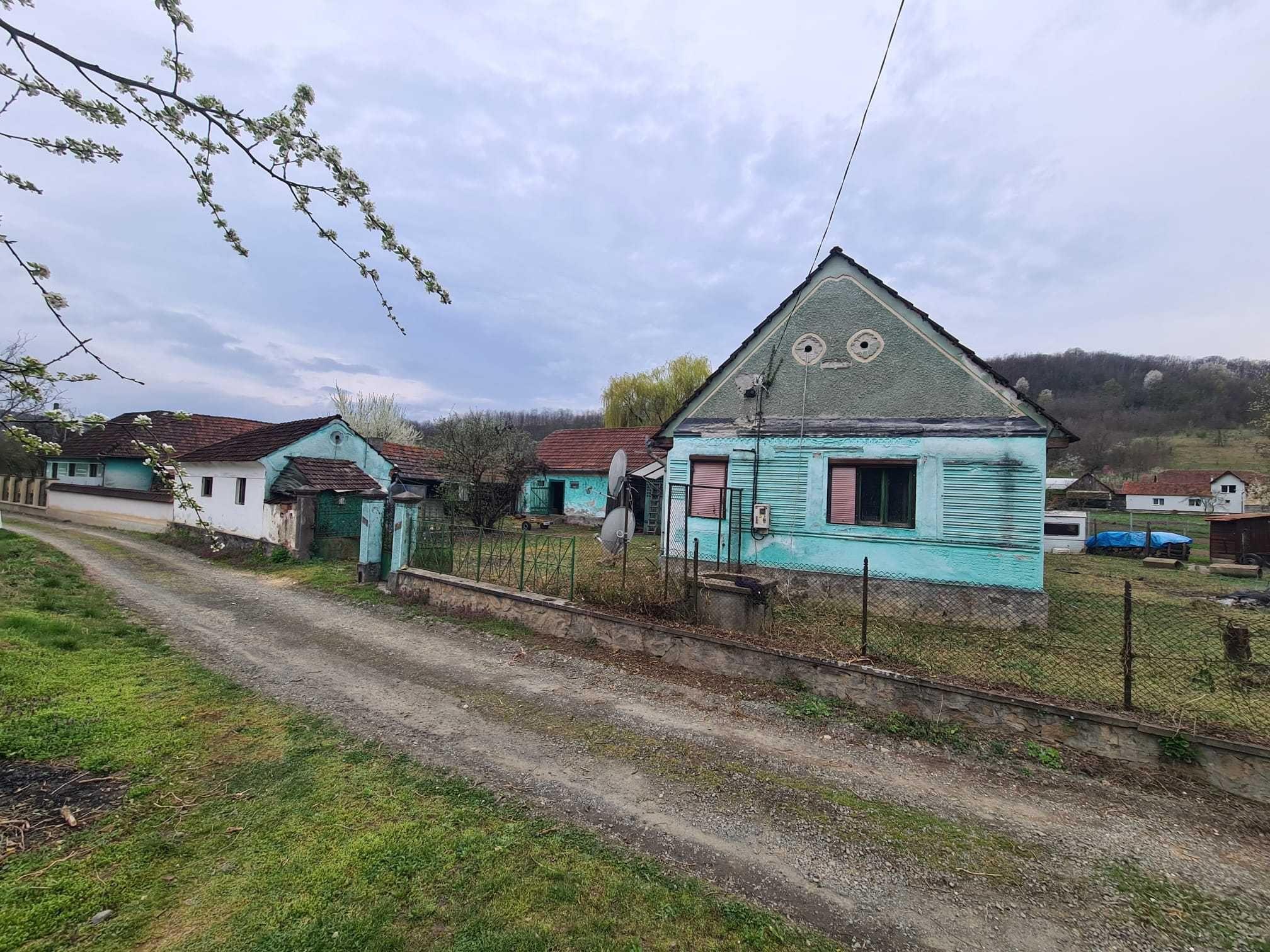 Casa de vanzare Valea Muresului