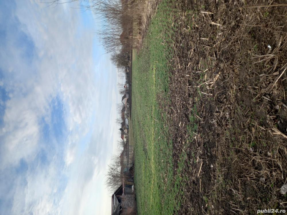 Vand Teren pentru casa in Ungaria.