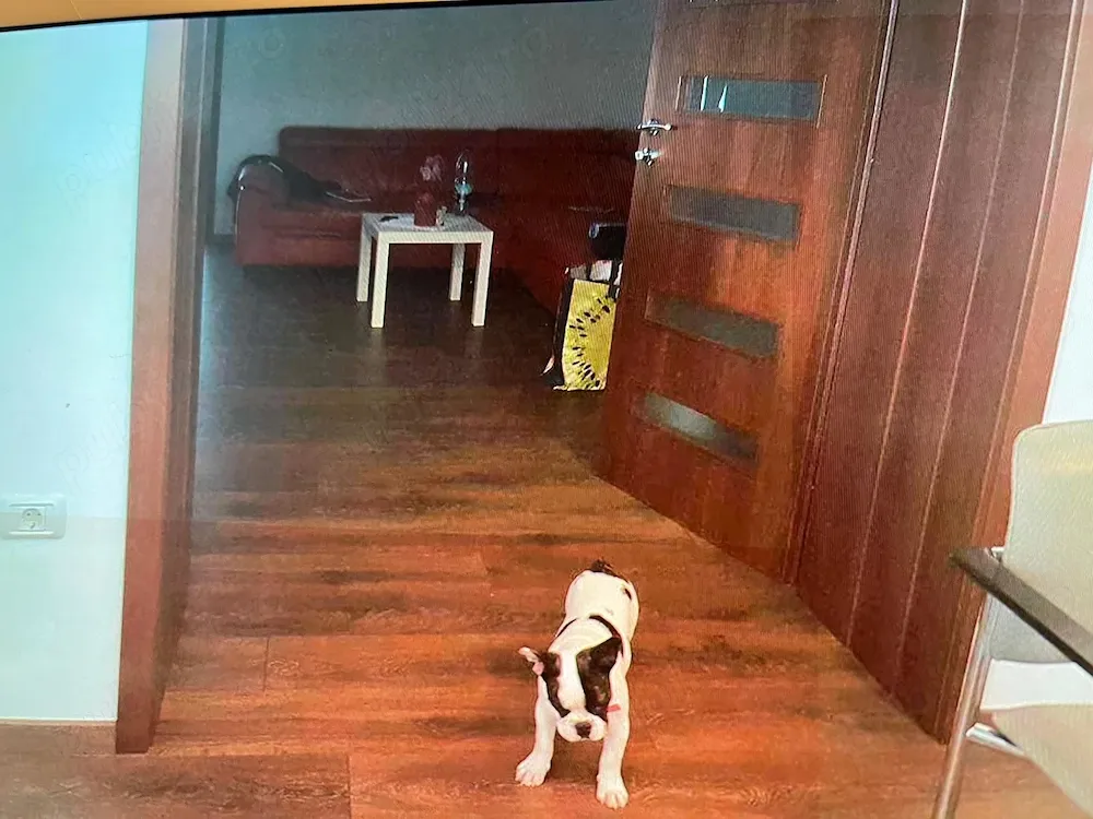 casa cu teren mare în aradu- nou zona foarte buna posibilități construcție