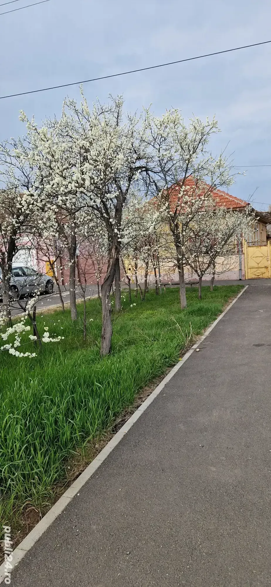 vand casa Sânnicolau Mic