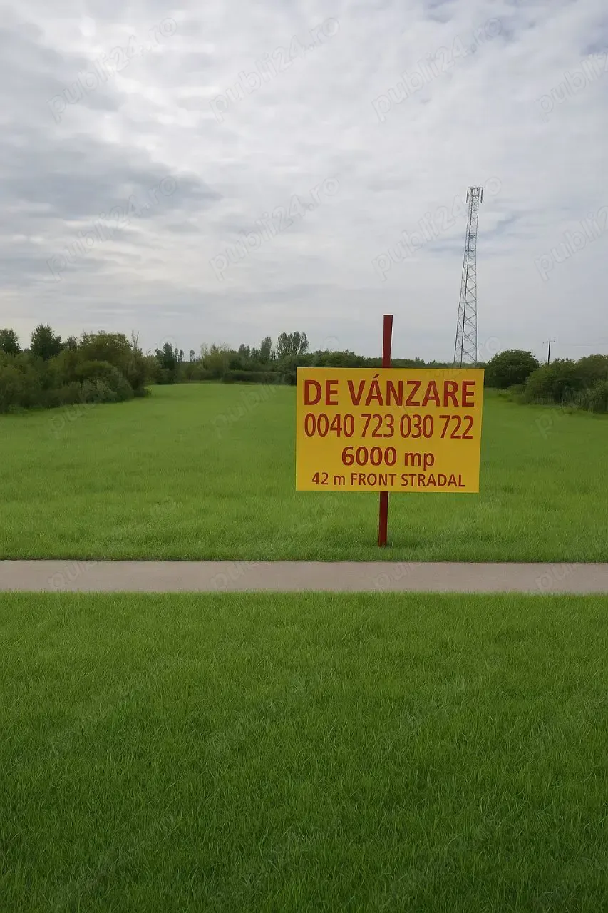 Se vinde teren intravilan 6000 mp