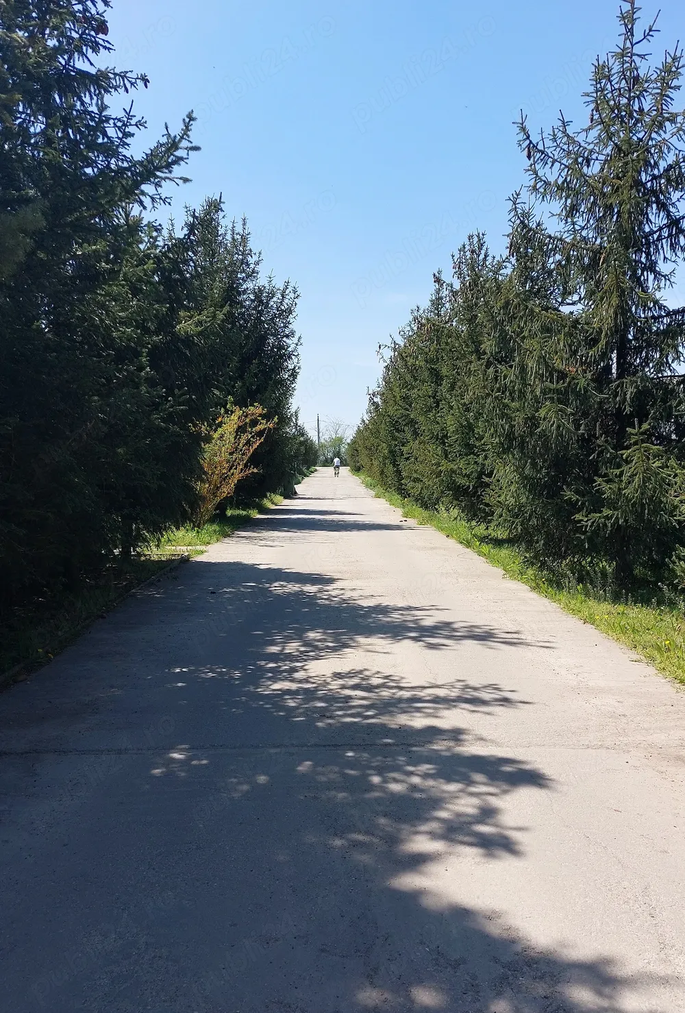 Otopeni- Patinoar Țiriac - imagine 1