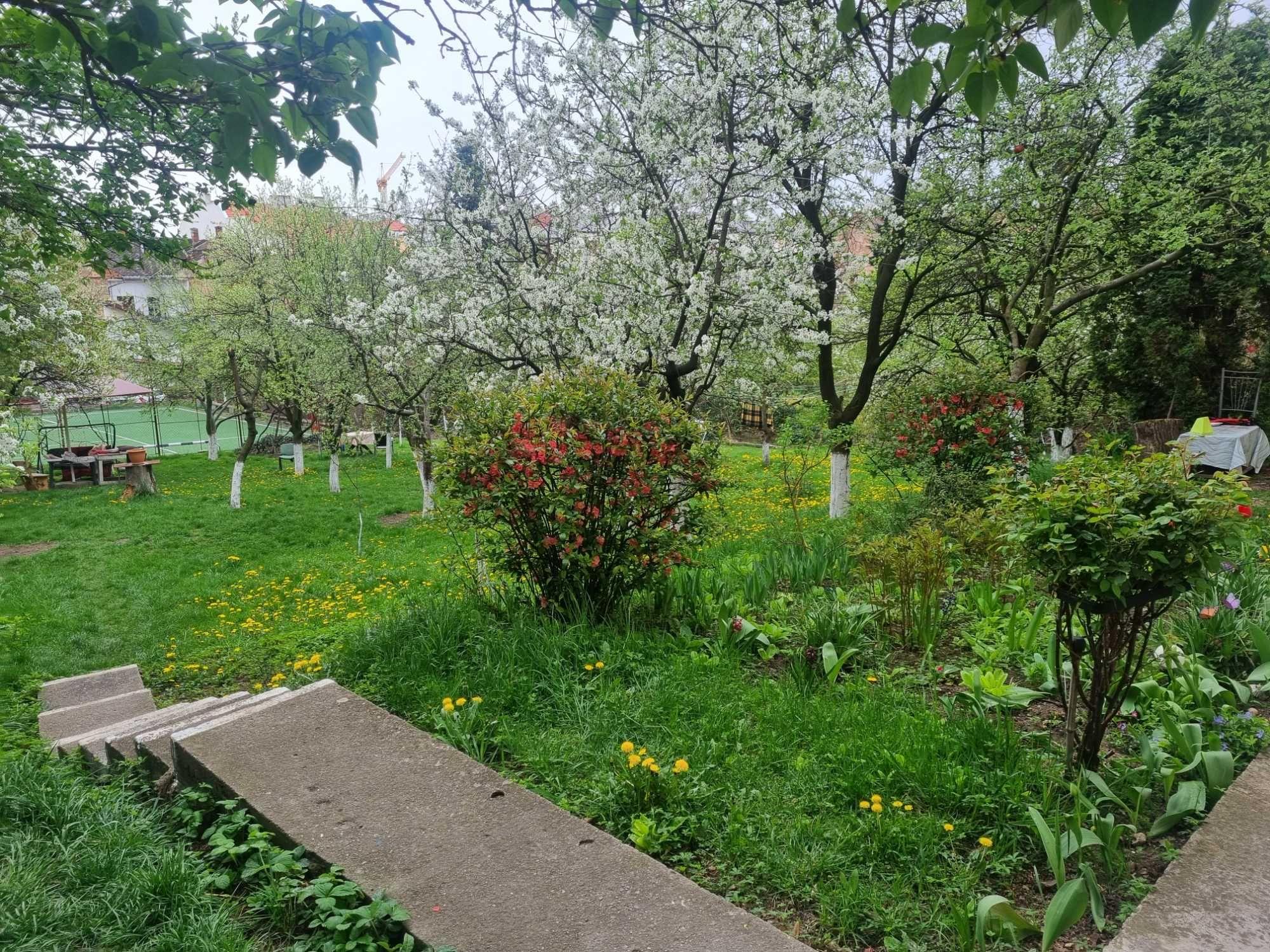 apartament ultracentral+gradina 3 camere 87 mp E.RACOVITA - imagine 1